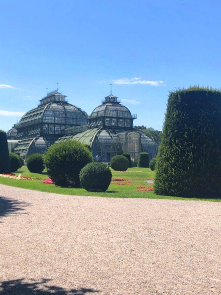 Schönbrunn Park 2020